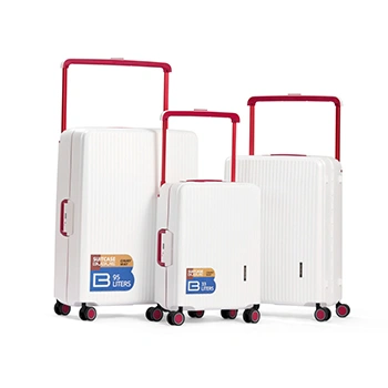 Maleta para facturar