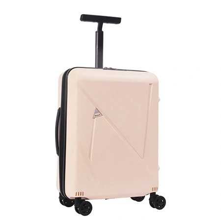 Maleta para facturar