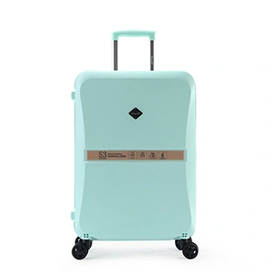 Maleta para facturar