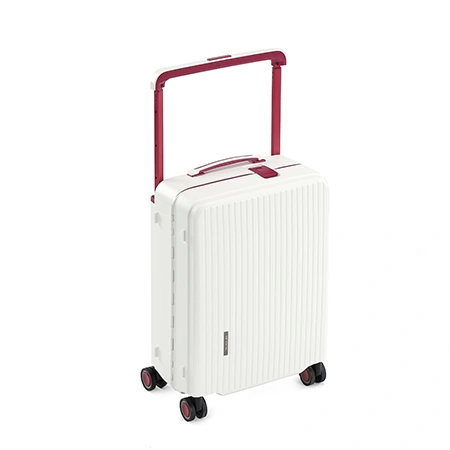 Maleta para facturar