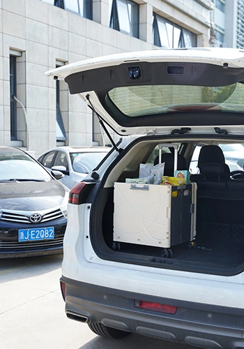 Organización del maletero del automóvil