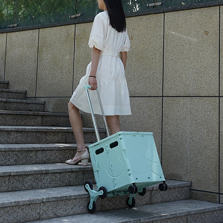 Ruedas opcionales para subir escaleras