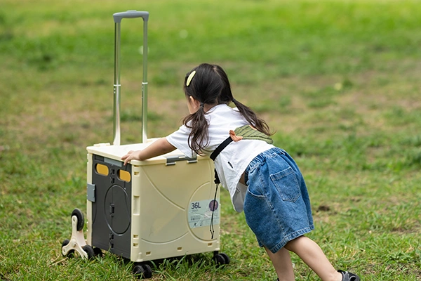 Carrito plegable con caja