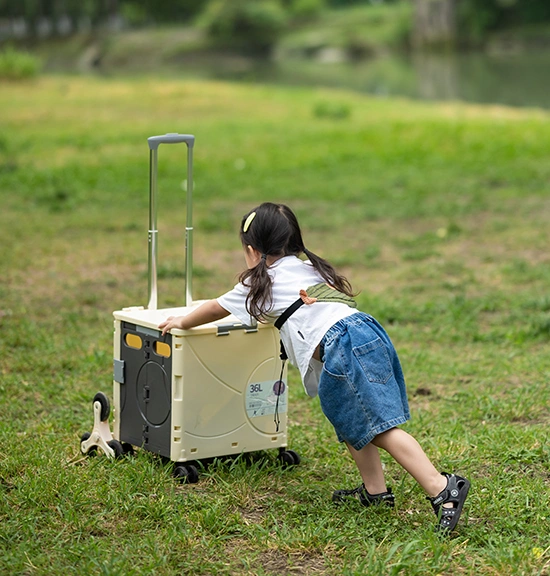 Carrito plegable con caja