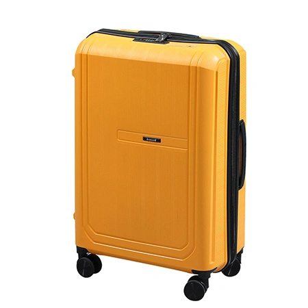 Maleta para facturar