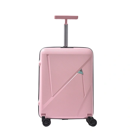 Maleta para facturar