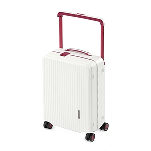 Maleta para facturar