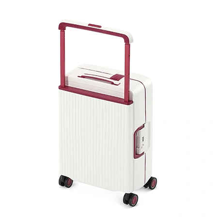 Maleta para facturar