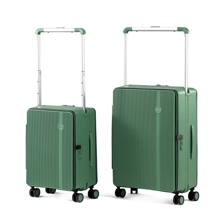 Maleta para facturar