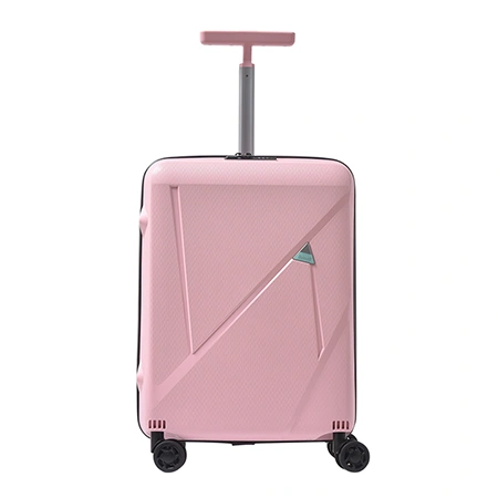 Maleta para facturar